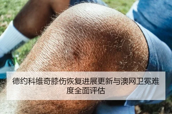 德约科维奇膝伤恢复进展更新与澳网卫冕难度全面评估